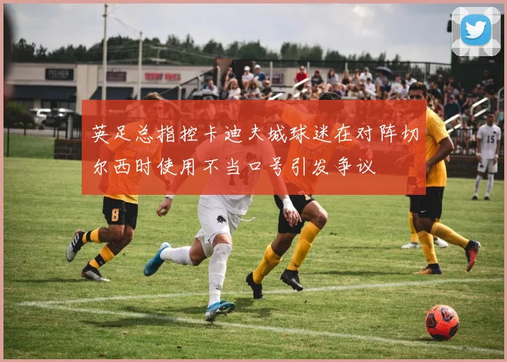 英足总指控卡迪夫城球迷在对阵切尔西时使用不当口号引发争议